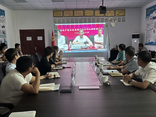 【河海水文】水發(fā)水控集團黨委委員、紀委書記王高升到河海公司全面從嚴治黨、黨風廉政建設專題調(diào)研 (1).jpg